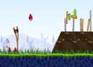 Play Angry Birds Online