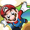 Play Mario and Princess