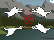 Παίξε το Bird Blast