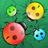 Play Beetles