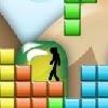 Play TETRIS: The Game