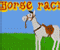 Horse Racin Εικονίδιο