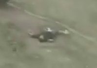 Police Run Over Suspect 