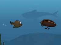 Tadpole 