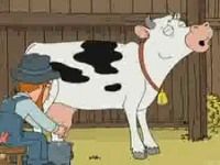 Family Guy Dairy Cow 
