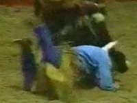 Horse Flips Over on Guy 