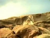 Sierra Mist Commercial Monkey Catapult 