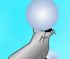 Seal Ball 
